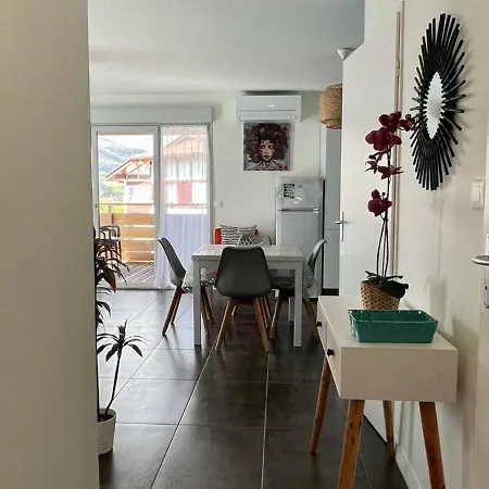 T2, Balcon, Parking, Ascenseur, Internet - - Fr-1-495-47 Apartment Itxassou